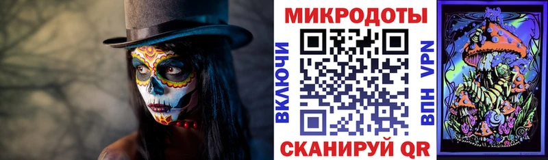 Псилоцибиновые грибы GOLDEN TEACHER  Клин 